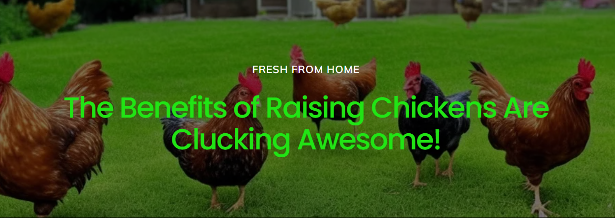 Egg-cellent Benefits of Raising Chickens